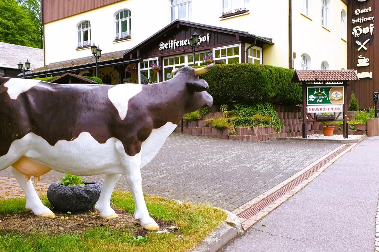 Hotel Seiffener Hof*** Luaran gambar